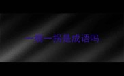 一瘸一拐是成语吗