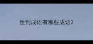 臣到成语有哪些成语