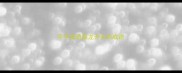 尽字成语接龙开头的成语