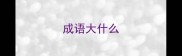 成语大什么