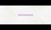 赞美钱学森的成语
