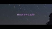 什么然自什么成语