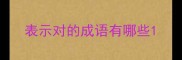 表示对的成语有哪些