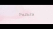 带东西成语