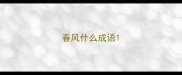 春风什么成语