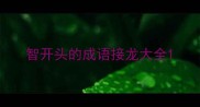 智开头的成语接龙大全