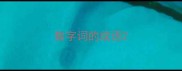 数字词的成语
