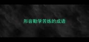 形容勤学苦练的成语