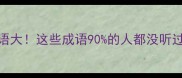 100个冷门成语大这些成语90的人都没听过附用法