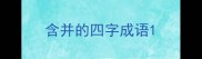 含并的四字成语