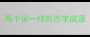 两个词一样的四字成语