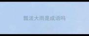 瓢泼大雨是成语吗