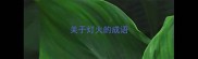 关于灯火的成语