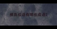 横面成语有哪些成语