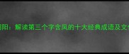 凤鸣朝阳解读第三个字含凤的十大经典成语及文化内涵