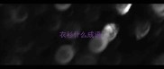 衣衫什么成语