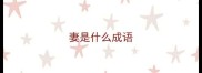 妻是什么成语