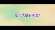 是非成语有哪些