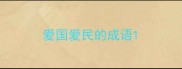 爱国爱民的成语