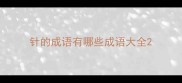 针的成语有哪些成语大全