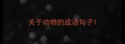 关于动物的成语句子