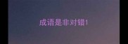 成语是非对错