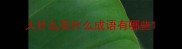 人什么花什么成语有哪些