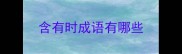 含有时成语有哪些
