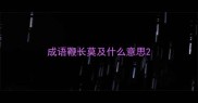 成语鞭长莫及什么意思