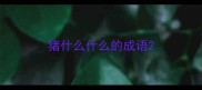 猪什么什么的成语