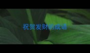 祝贺发财的成语