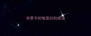 有景字的喻意好的成语