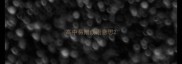 高中易错成语意思