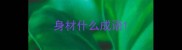 身材什么成语