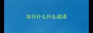 如日什么什么成语