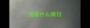 成语什么障目
