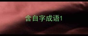 含自字成语