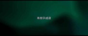 有假字成语
