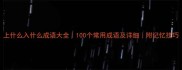 上什么入什么成语大全100个常用成语及详细附记忆技巧
