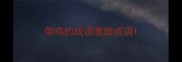 带鸡的成语激励成语