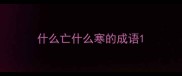 什么亡什么寒的成语