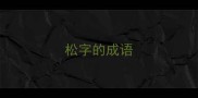 松字的成语