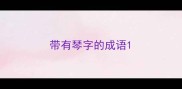 带有琴字的成语