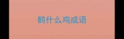 鹤什么鸡成语