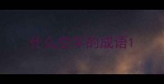 什么空字的成语