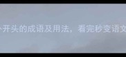 10个以外开头的成语及用法看完秒变语文高手