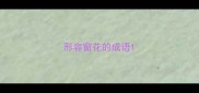 形容窗花的成语