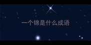 一个锦是什么成语