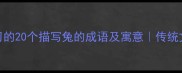 适合孩子学习的20个描写兔的成语及寓意传统文化启蒙必备