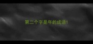 第二个字是年的成语